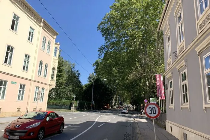 Stadtauswärts bäumt sich die grüne Wand auf, die Platanen wurden gepflanzt als die Straße 1856 zu Ehren von Kaiserin Elisabeth umbenannt worden ist - die Allee ist fast 170 Jahre alt.