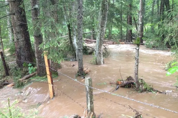Die Feuerwehr Modriach kämpfte gegen angeschwollene Bäche, die Straßen fluteten und Bäume niederrissen.