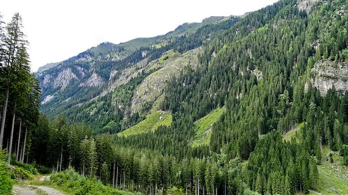 Im Radlgraben ist eine Jagdhütte abgebrannt