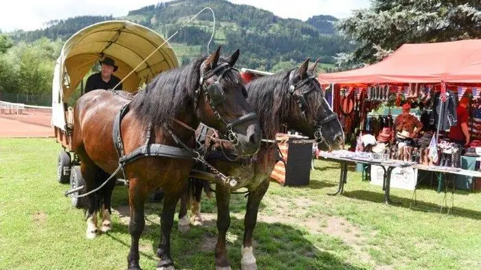 Zum ersten Mal fand auf der Murinsel in Bruck ein Countryfest statt. Im Zuge des Projekts Lebensraum Mur bot Ewald Weitzer mit dem Team des Insel Cafés auf dem Areal des ESV-Tennis ein abwechslungsreiches Programm für Jung und Alt.