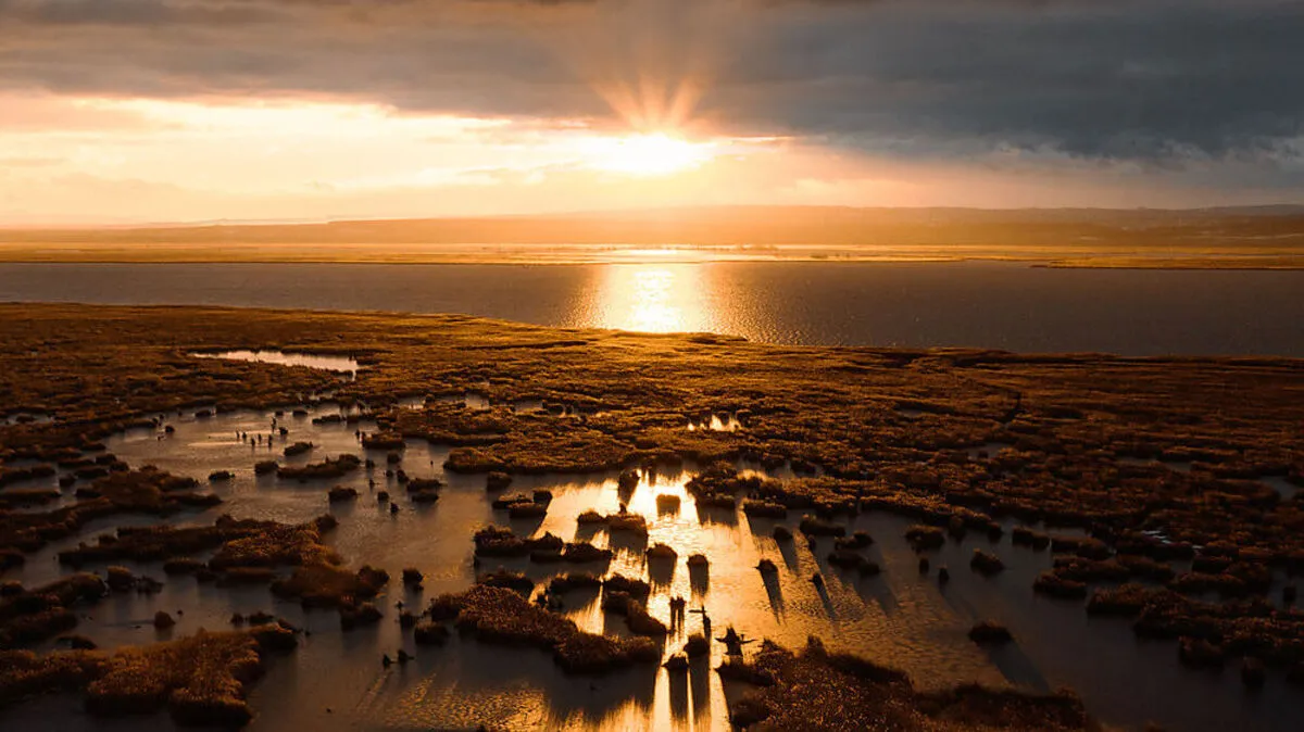 Sonnenuntergang über dem Neusiedler See