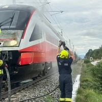 Einsatzkräfte bei der Reinigung des Triebwagens