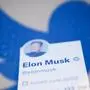 Twitter-Boss Elon Musk