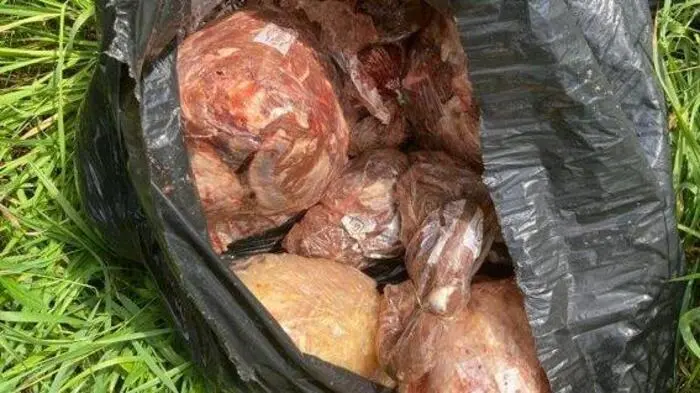 Unappetitlicher Fund für die Polizei Ilz