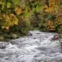 Die Talbachklamm in Schladming in herbstlichen Gewand 