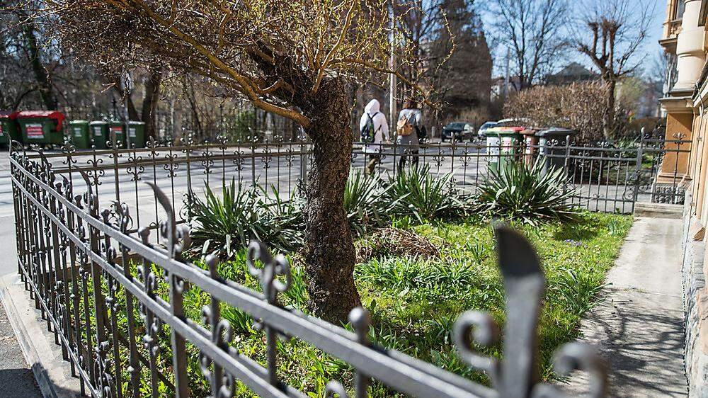 Rund 800 solcher grünen Vorgärten gibt es in Graz