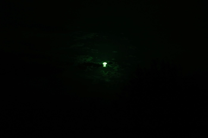 Mit etwas Glück und einfachen Hilfsmitteln konnte man beobachten, wie sich der Mond von der Seite vor die Sonne schiebt.