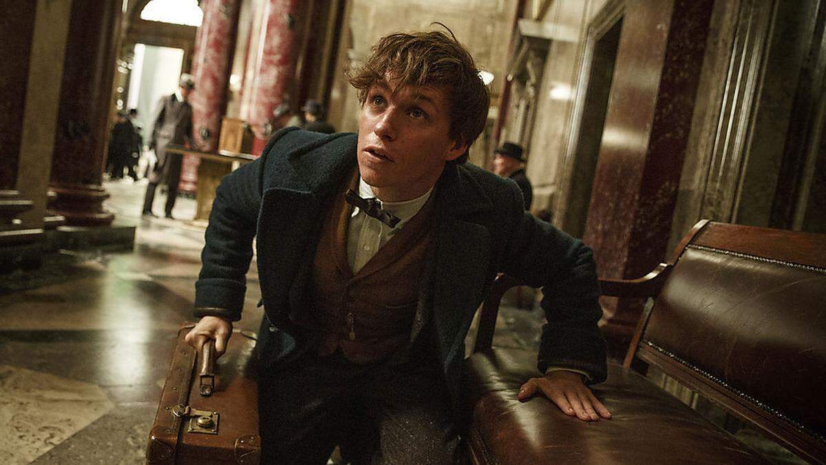 Eddie Redmayne in &quot;Phantastische Tierwesen und wo sie zu finden sind&quot;