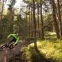 Downhill-Fans dürfen sich auf eine spektakuläre Abfahrt freuen