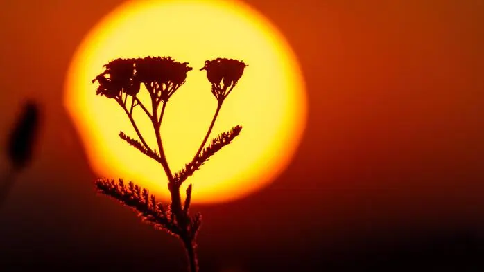 Mit bis zu 37 Grad rollt die nächste Hitzewelle über die Steiermark
