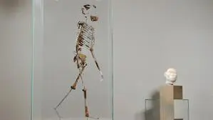 Lucy (links im Bild) lebte vor mehr als 3 Millionen Jahren in Afrika