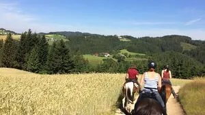 Im Pferdereich Mühlviertler Alm lässt sich auf 700 Kilometern herrlich wanderreiten