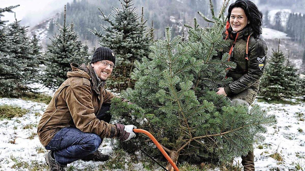 Die ganze Familie hilft am Chrtistbaummarkt mit: Andrea Fürst mit Cousin Erich Neuper