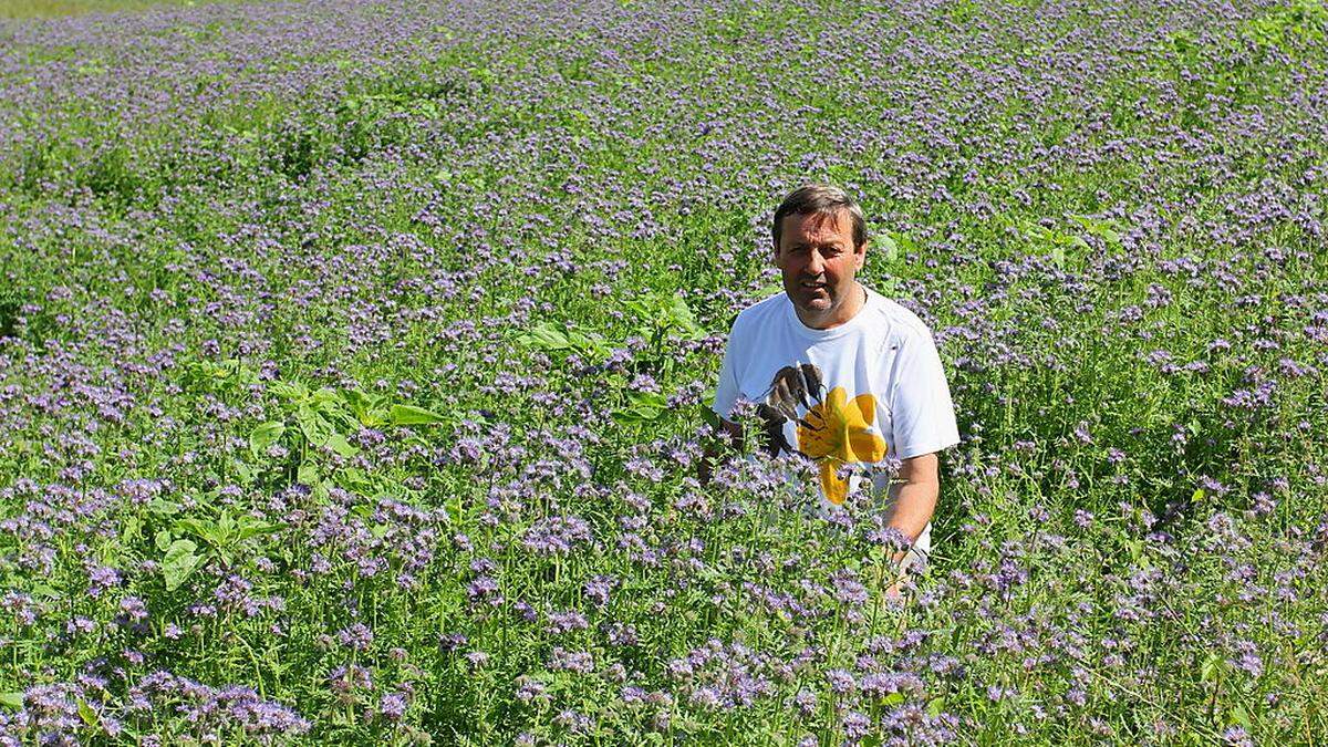 Im Blütenmeer: Der Feldbacher Imker Alois Rauch hat eine eigene – derzeit voll erblühte - Bienenweide.