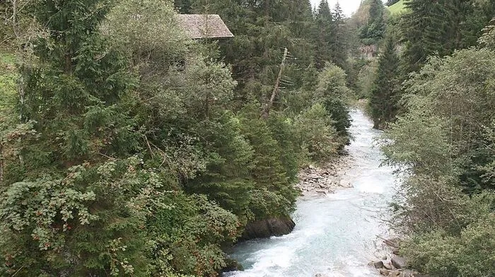 Der Kalserbach mit seinen Beständen an Tamarisken und Kraftwerksplänen liefert heißen Stoff 