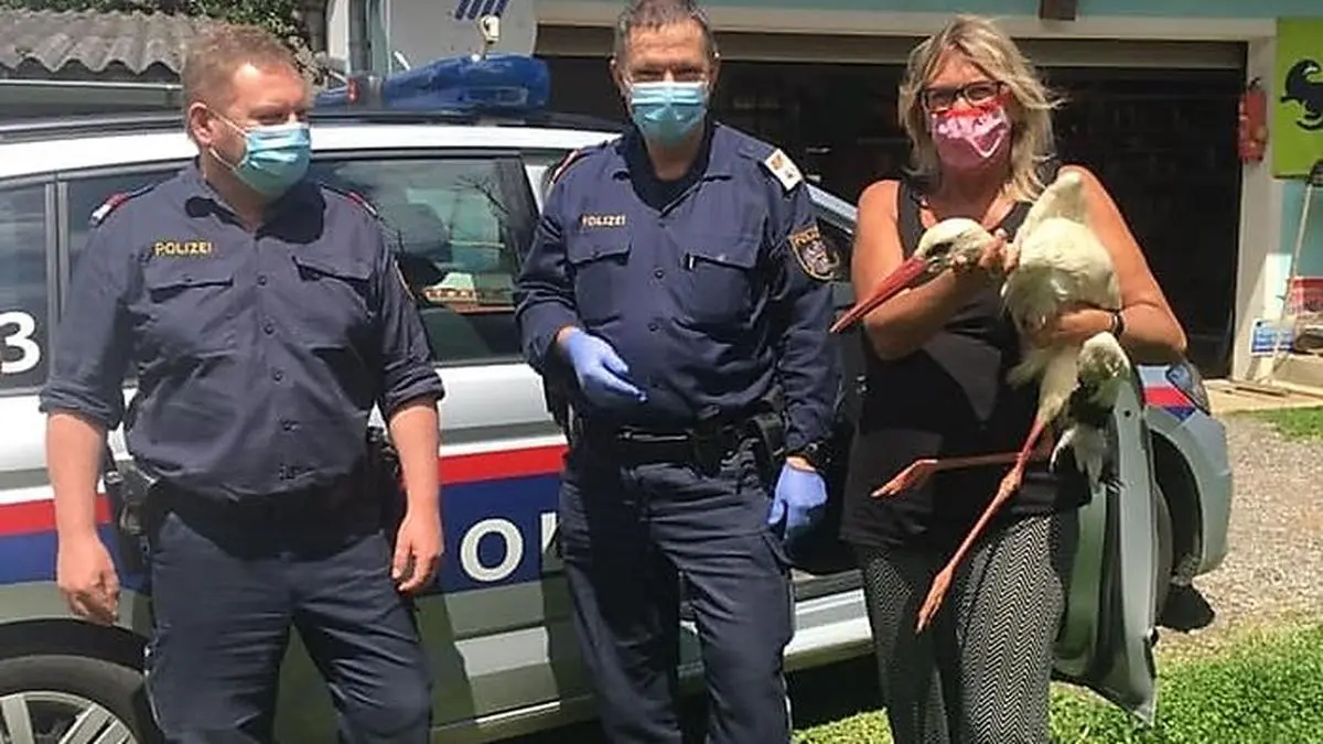 Die Polizisten Josef Käfer und Walter Maderer mit einer Mitarbeiterin der Storchenstation und dem verletzten Tier