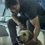 Mark Wahlberg liebt Hunde