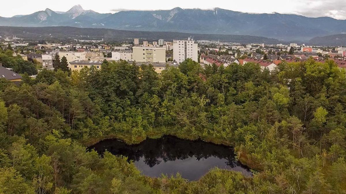 Der Petschnigteich ist das erste abgeschlossene Projekt des Vereins, viele weitere sollen folgen