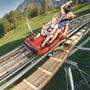 Der Osttirodler schaffte es ins Ranking der zehn beliebtesten Tiroler Ausflugsziele