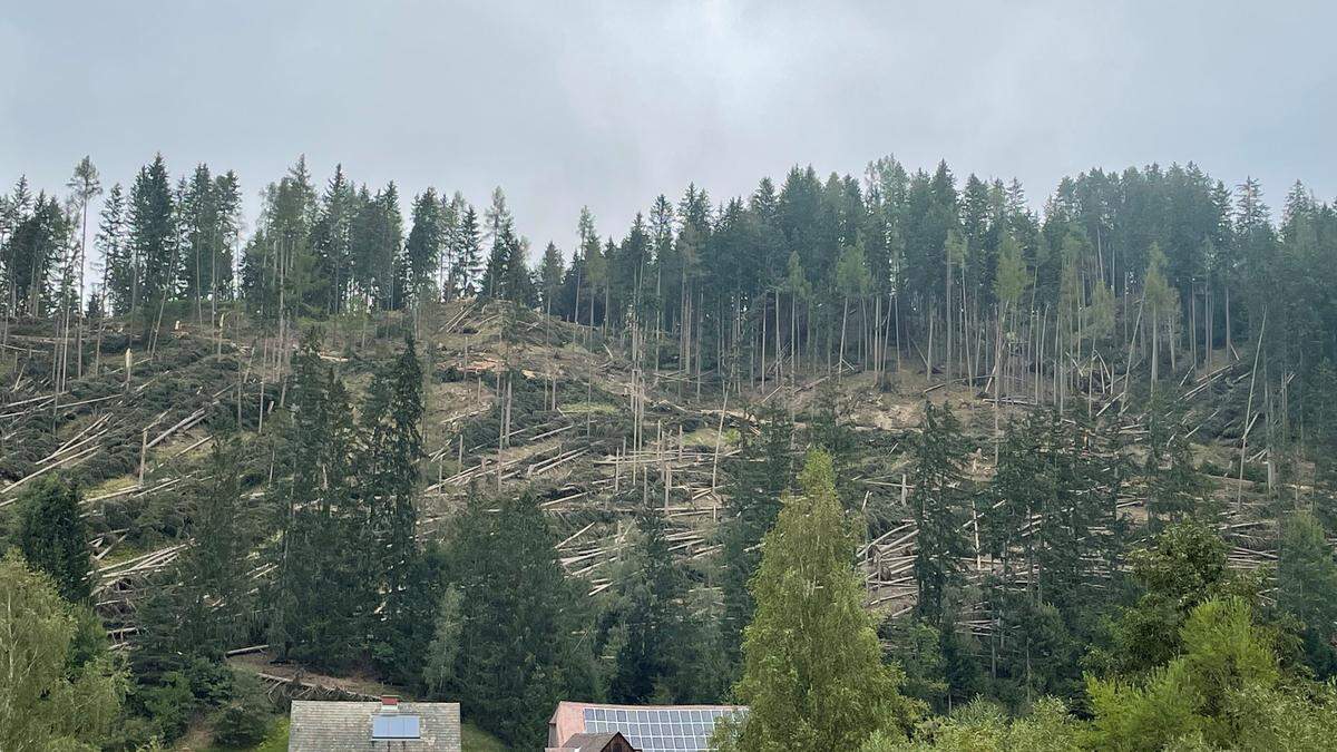 4,4 Hektar Schadfläche hat hier das Unwetter vom 18. August verursacht. Die Aufarbeitung wird noch dauern 