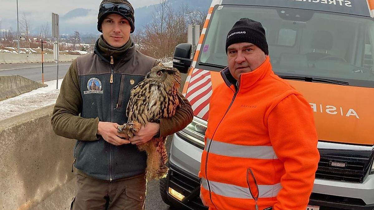 Gangl (rechts) entdeckte das verletzte Tier, Lukas Viglasky brachte es zur Adlerwarte 