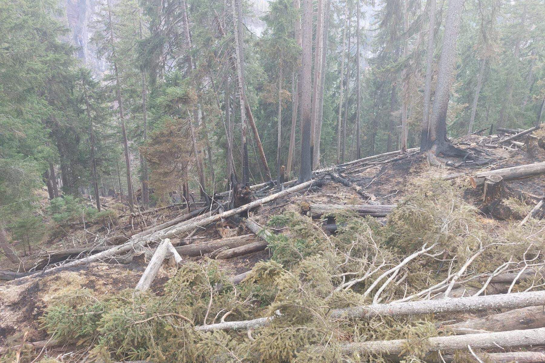 Waldbrand: „Brand aus“ in Wildalpen spätestens am Samstag