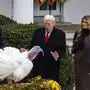 Präsident Trump begnadigt einen Truthahn im Rosengarten des Weißen Hauses, für Mitarbeiter der Presse zeigt er keine Gnade. Die Tradition geht auf George H. W. Bush zurück, der 1989 damit begann, ausgewählte Truthähne vor dem Thanksgiving-Dinner zu bewahren
