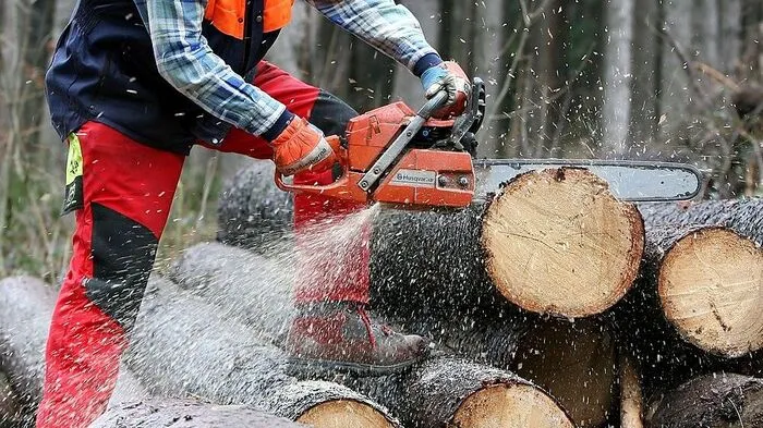 Ein schwerer Arbeitsunfall ereignete sich bei Forstarbeiten in der Nähe von Fürstenfeld. Mehr dazu.  