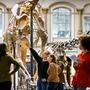 Der Klimaprotest in Museen geht weiter - zuletzt im Berliner Naturkundemuseum
