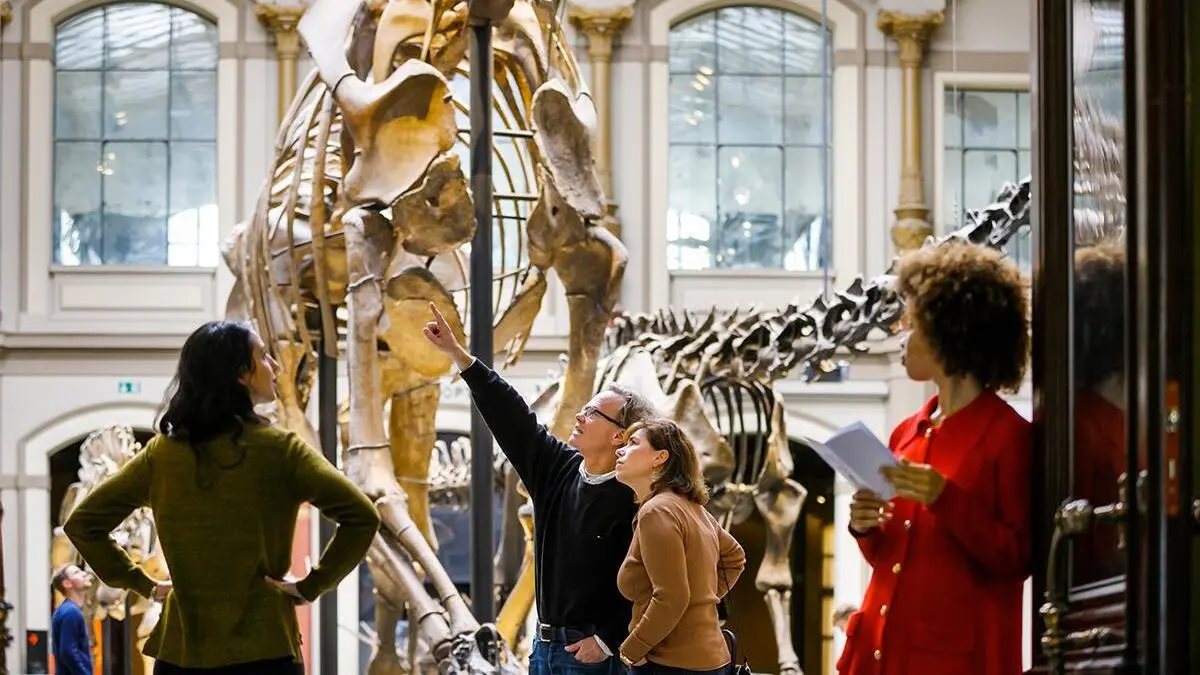 Der Klimaprotest in Museen geht weiter - zuletzt im Berliner Naturkundemuseum