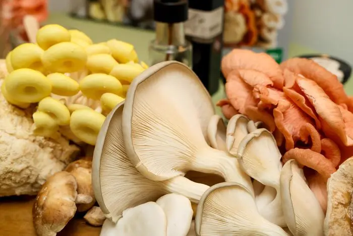 Neben den Frischpilzen werden die Pilze auch zu zahlreichen Produkten direkt am Hof veredelt.