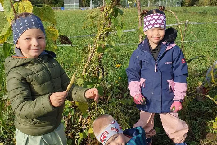 Gemeinsam ging es für Klein und Groß zur Ernte von Kürbis, Bohnen und Mais am Gemeinschaftsacker der Volksschule und Kindergärten. Danach wurde ein Suppenfest gefeiert und für die gute Ernte in diesem Jahr gedankt.