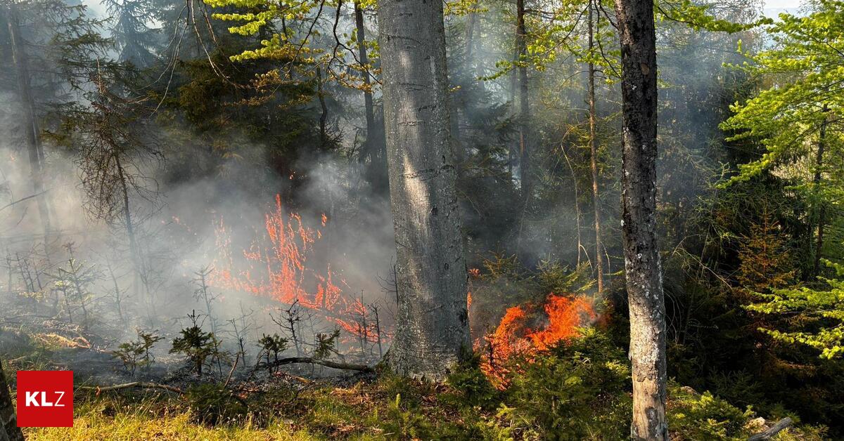 Waldbrand-in-Eisbach-Rein-Trockenheit-erh-ht-Gefahr-f-r-mehr-Br-nde