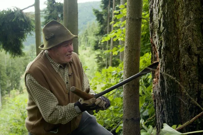 Wir treffen auf Karl Brandl, der Lärchenpech sammelt, und seine Freunde, die das Harz zu einer Salbe verarbeiten, zeigen alte Traditionen und die Anwendungen in der Hausmedizin.
