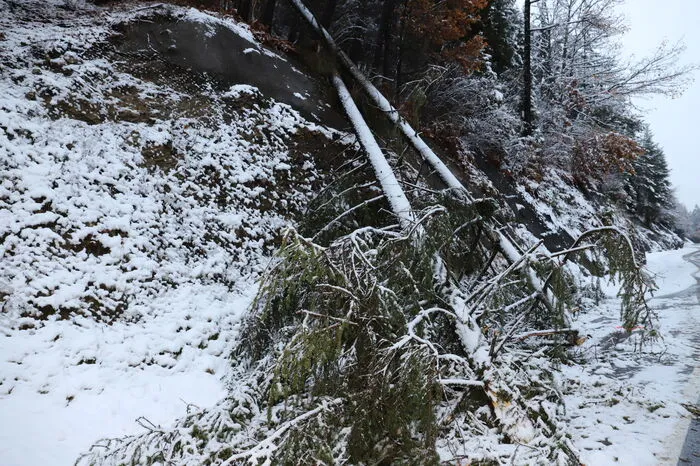 Die heftigen Schneefälle am Mittwoch (13. November) brachten große Schäden mit sich.