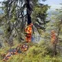 Die Feuerwehr versucht die Flammen zu löschen