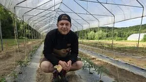 In diesem Jahr pflanzte Jan Kutos nur einen Folientunnel mit Paradeis, Chili und Paprika