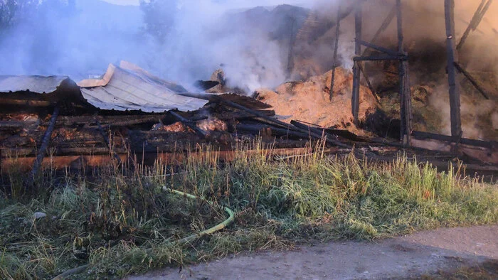 Das Gebäude brannte komplett nieder. Bei Eintreffen der Feuerwehren waren auch 45 Schafe und sieben Kühe, die sich im Stall befanden nicht mehr zu retten.
