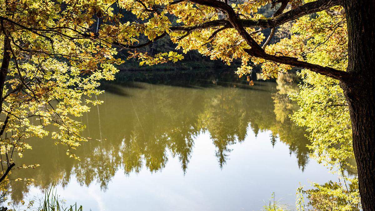 Herbst beim Eggerteich