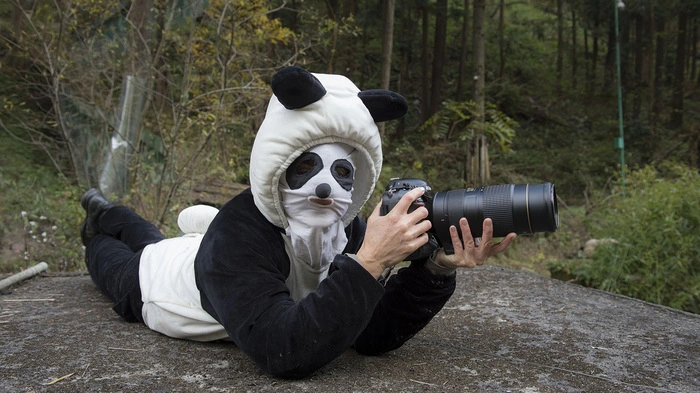 Für ihre Arbeit mit Pandas unternahm Ami Vitale im Laufe von drei Jahren mehrere Reisen nach China und lernte dort Menschen kennen, die sich bemühen, die Pandas zu retten. Auch begegnete sie den Bären selbst – und lernte sogar, wie ein Panda zu denken. Hier sehen wir sie bei der Arbeit... SCHON GEWUSST?  Pandas haben einen sechsten Finger – um Bambus besser greifen zu können.