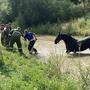 Das Pferd konnte von der Feuerwehr gerettet werden