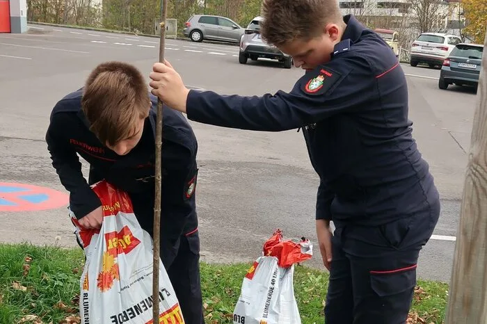 30.000 Ahornbäume werden im Zuge der Feuerwehrjugendaktionswoche gepflanzt.