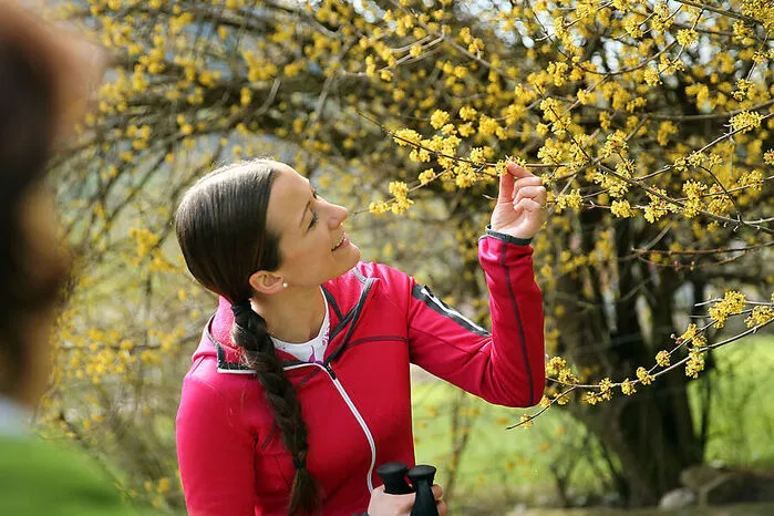 Schon von weitem leuchten im Vorfrühling allerorts im Mostviertler Pielachtal zarte, gelbe Blüten. Große Dirndlstauden bezaubern mit fast einer Million winzigen Einzelblüten. Der Zauber hält noch bis Mitte April an. Einen Ausflugstipp dazu finden Sie hier.