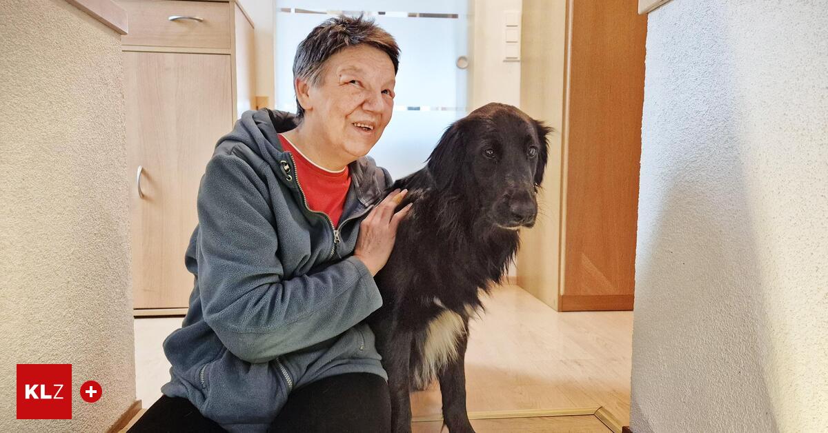 Spenden-erm-glichten-neue-Begleiterin-Bin-unendlich-dankbar-