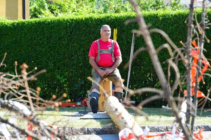 Nach dem Abmessen stand fest: Der Baum war exakt 17,8 Meter lang. Der Gewinner tippte auf 17,86 Meter und lag lediglich sechs Zentimeter daneben.