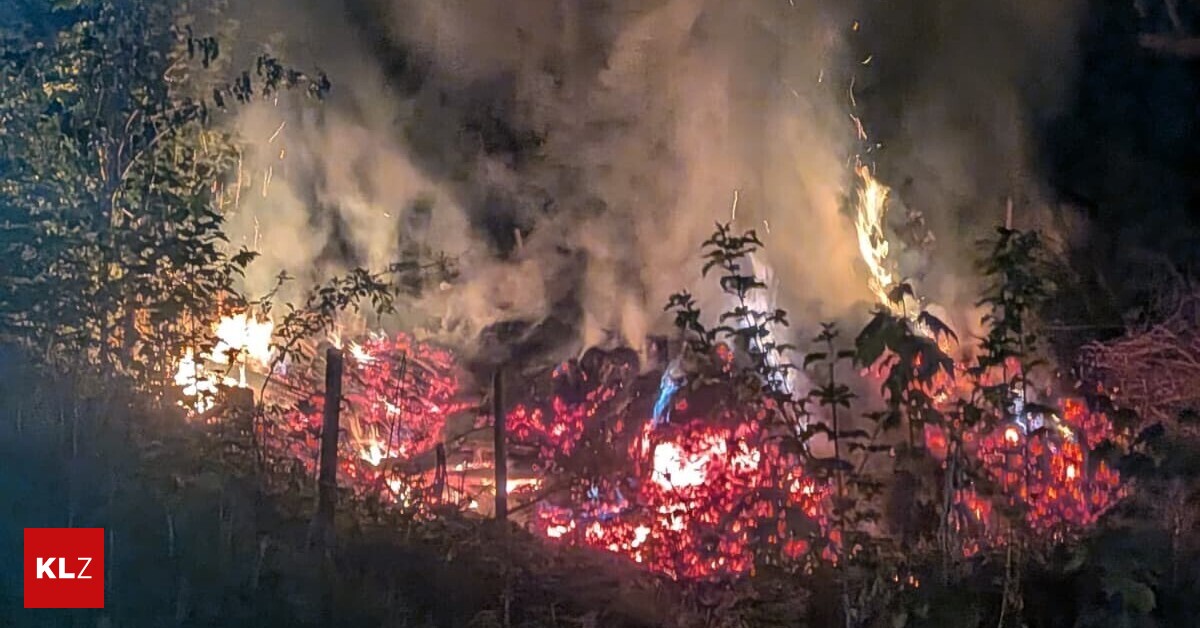 Wiese-stand-in-Flammen-Feuerwehr-konnte-Waldbrand-verhindern