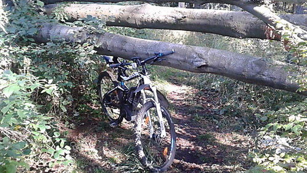 Umgestürzte Bäume stellen ein Sicherheitsrisiko dar