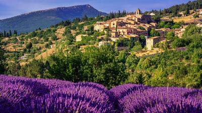 Vom Luberon bis Saint-Rémy – Provence pur für alle Sinne