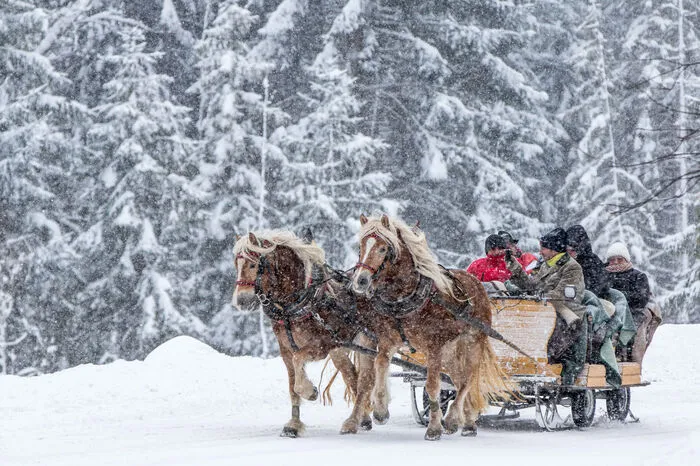 Der Innbegriff von Romantik: Mit dem Pferdeschlitten durch den Winter
