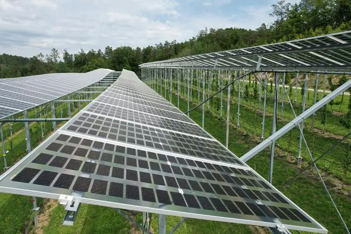 ABD0048_20240518 - GRAZ - ÖSTERREICH: ++ HANDOUT ++ Photovoltaik-Paneele über Obstkulturen produzieren nicht nur Strom, sondern bieten Pflanzen auch Schutz vor Frost und Regen. Das zeigten erste Ergebnisse an der Versuchsstation für Obst- und Weinbau Haidegg des Landes Steiermark, die seit zwei Jahren eine Agri-PV-Anlage testet. Im Bild: Eine Photovoltaik-Anlage direkt über Obstbäumen auf einem undatierten Archivbild. - FOTO: APA/VERSUCHSSTATION HAIDEGG - ++ WIR WEISEN AUSDRÜCKLICH DARAUF HIN, DASS EINE VERWENDUNG DES BILDES AUS MEDIEN- UND/ODER URHEBERRECHTLICHEN GRÜNDEN AUSSCHLIESSLICH IM ZUSAMMENHANG MIT DEM ANGEFÜHRTEN ZWECK UND REDAKTIONELL ERFOLGEN DARF - VOLLSTÄNDIGE COPYRIGHTNENNUNG VERPFLICHTEND ++